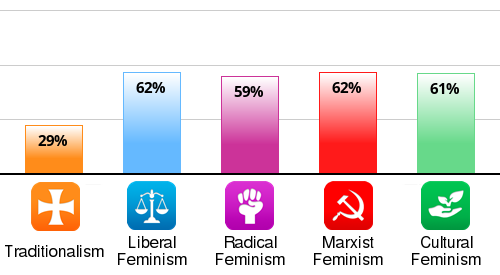 radical feminism vs liberal feminism