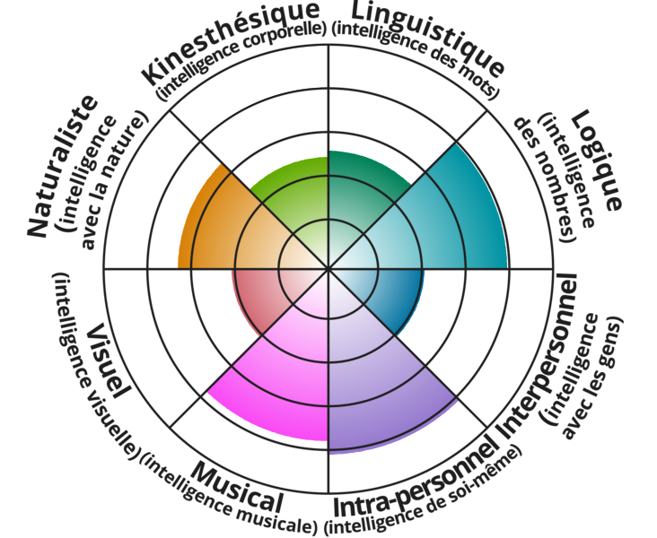 Graphique de mon résultat du "Test de type d'intelligence"