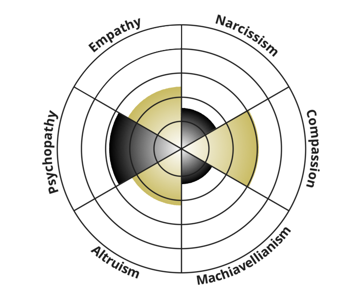 light-dark-triad