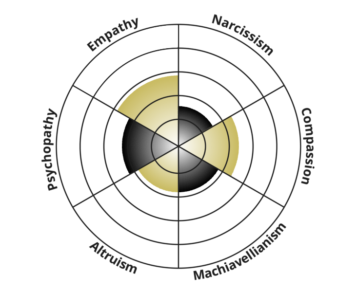 light-dark-triad