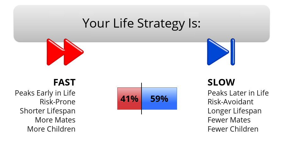 pace-of-life