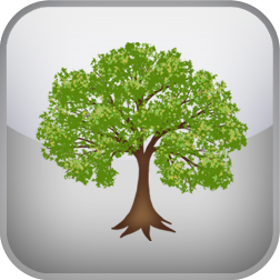 Abundance Mindset Test