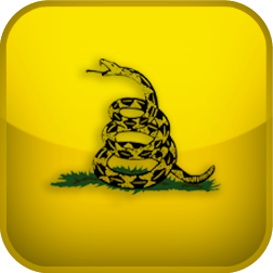 American Libertarianism Test