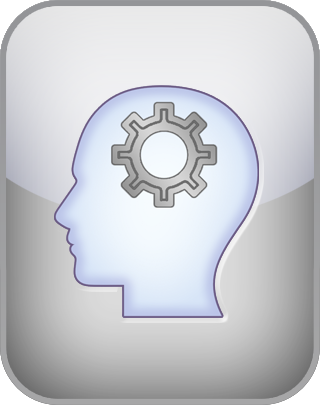 Analytical-Intuitive Cognition Test