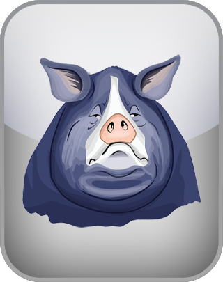 Animal Farm Test