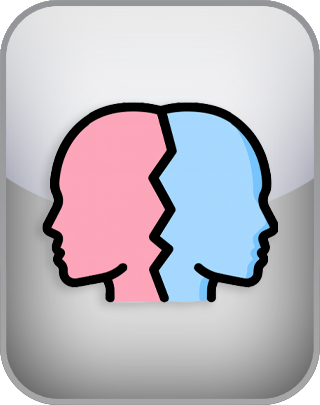 Borderline Symptom Test (BSL23)