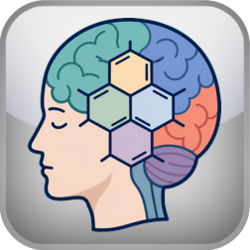 Brain Chemistry Test (BNA)