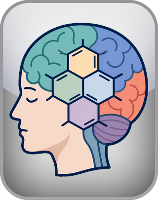 Brain Chemistry Test (BNA)