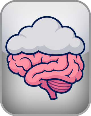 Brain Fog Test (BFS)
