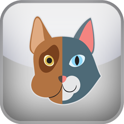 Cats or Dogs Test