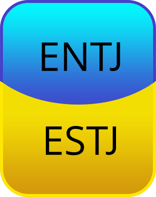 ENTJ oder ESTJ. Test