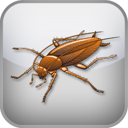 Fear of Cockroaches Test