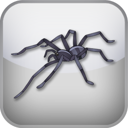 Fear of Spiders Test