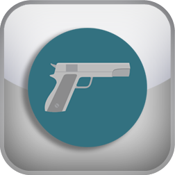 Gun Rights Test (GRT)