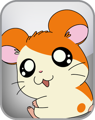 Hamtaro Test