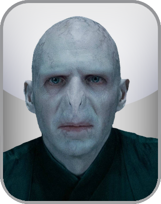 Harry Potter Villain Test