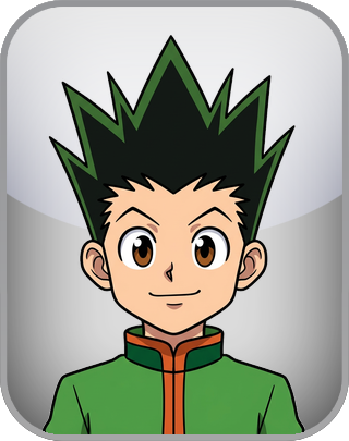 Hunter x Hunter Test