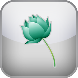 Mindfulness Test (5 Factors)