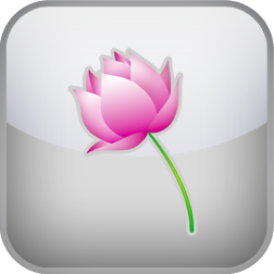 Trait Mindfulness Test