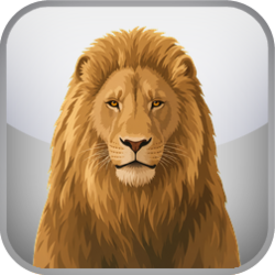 The Chronicles of Narnia Test
