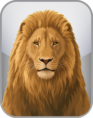 The Chronicles of Narnia Test