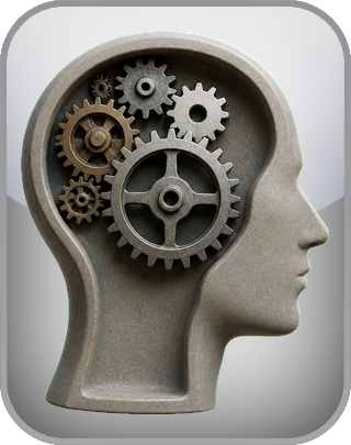 Need for Cognition Test (NCS)