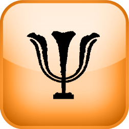 Personality Inventory Test (ICD-11 PiCD)