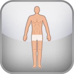 Somatotype Test