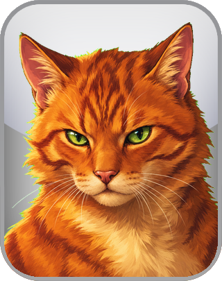 Warrior Cats Test