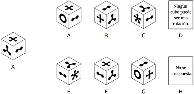 test item