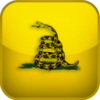 American Libertarianism Test