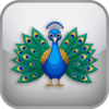 Bird Personality Typology Test