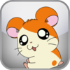 Hamtaro Test