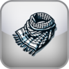 Palestine Solidarity Movement Test